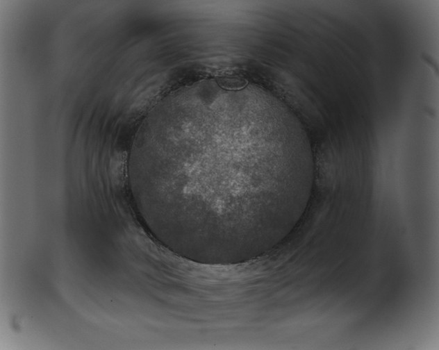 X0000102040034200807181523