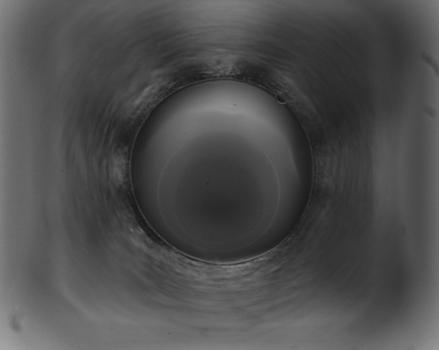 X0000102040035200807181523