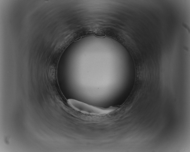 X0000102040036200807181523