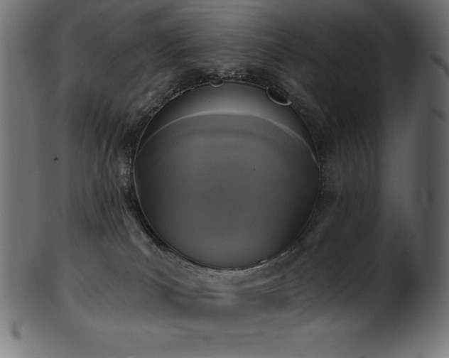 X0000102040039200807181522