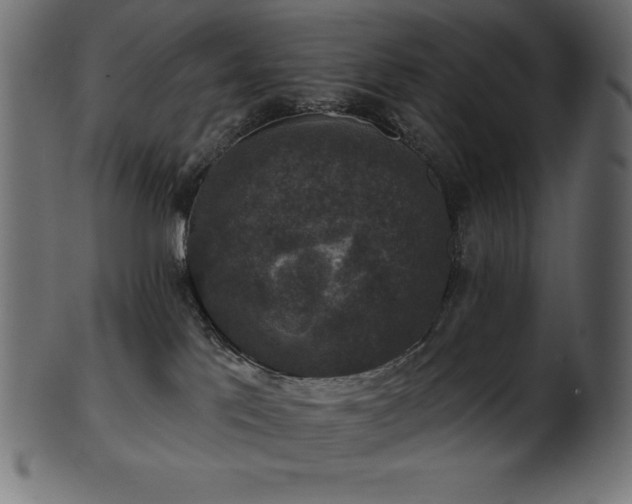 X0000102040041200807181522