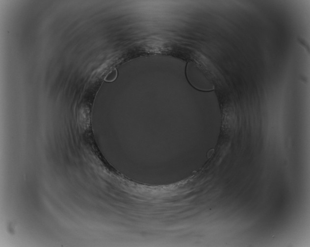 X0000102040043200807181522