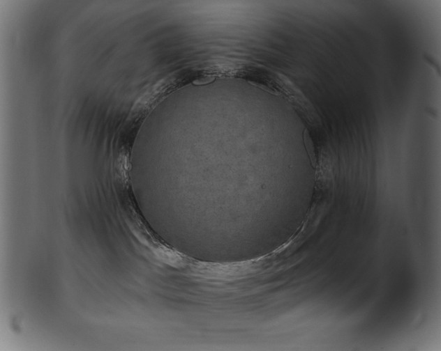 X0000102040045200807181522