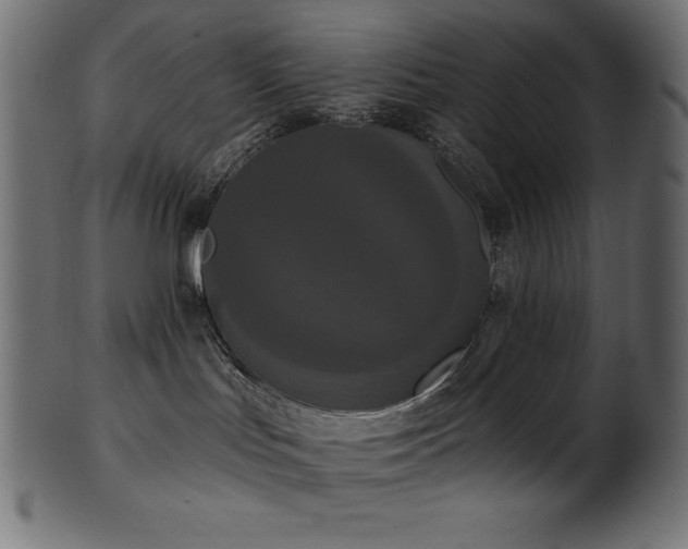 X0000102040047200807181522