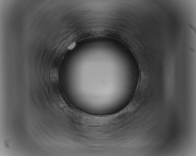 X0000102040048200807181522