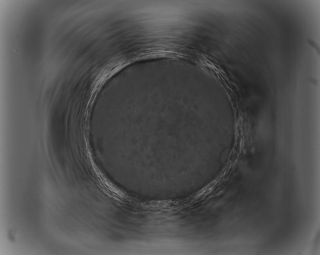 X0000102040049200807181521