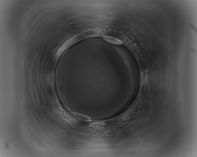 X0000102040051200807181522