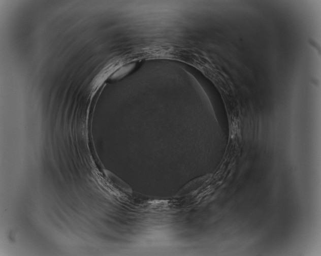 X0000102040052200807181522