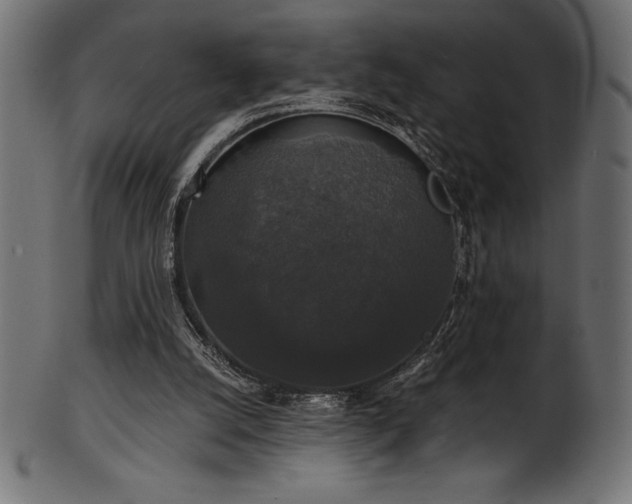 X0000102040056200807181522