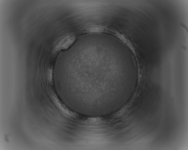 X0000102040057200807181522