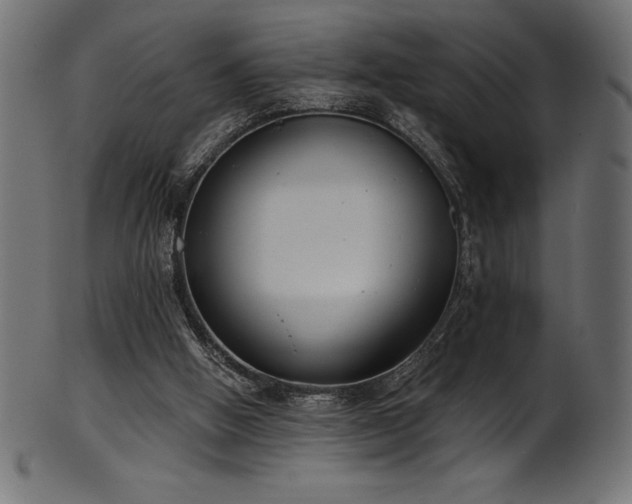 X0000102040058200807181522