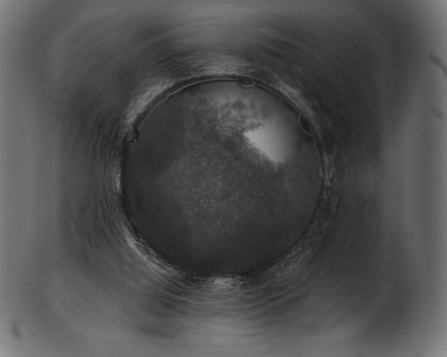 X0000102040060200807181522