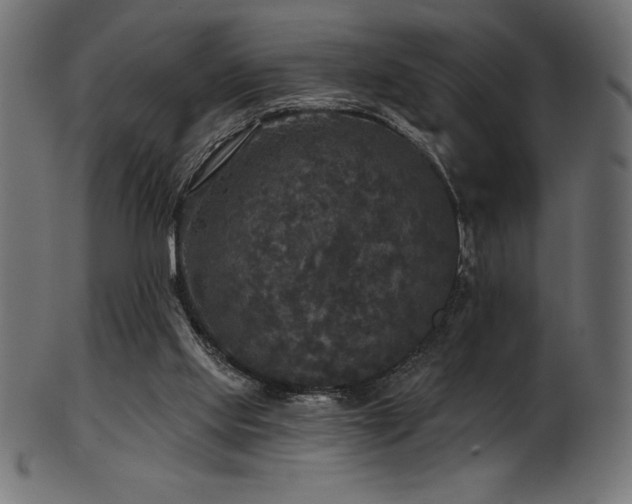 X0000102040061200807181522