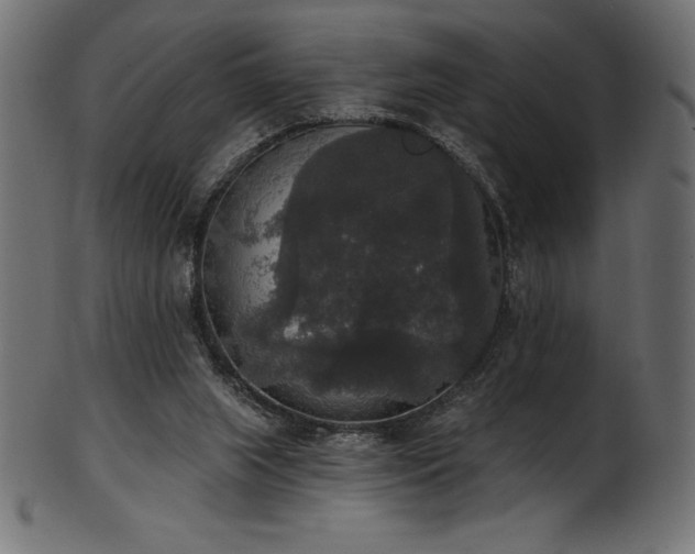 X0000102040063200807181522