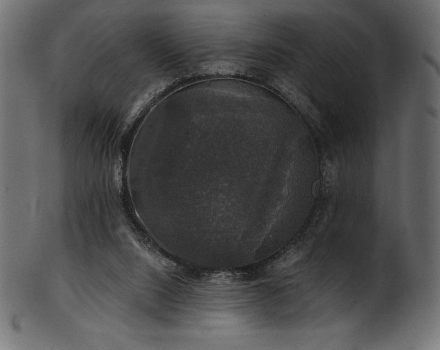 X0000102040064200807181522