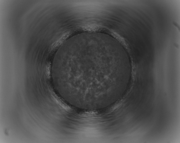 X0000102040065200807181522