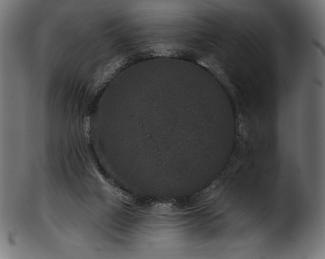 X0000102040066200807181522