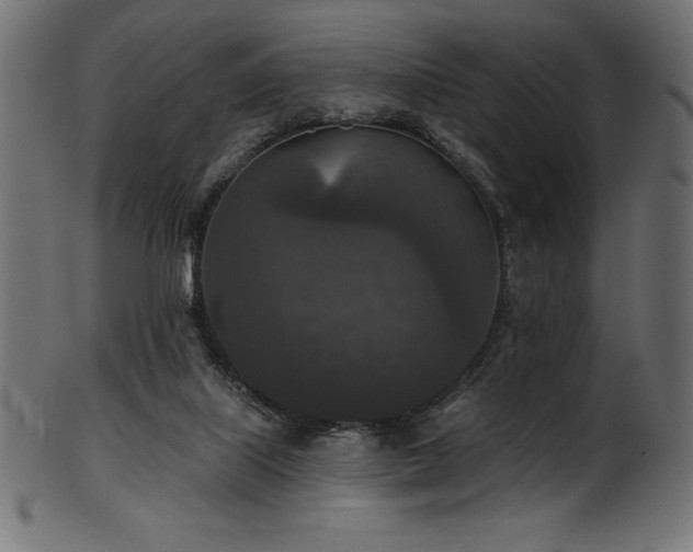 X0000102040067200807181522