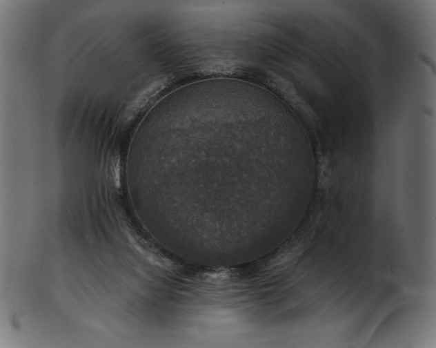 X0000102040068200807181522