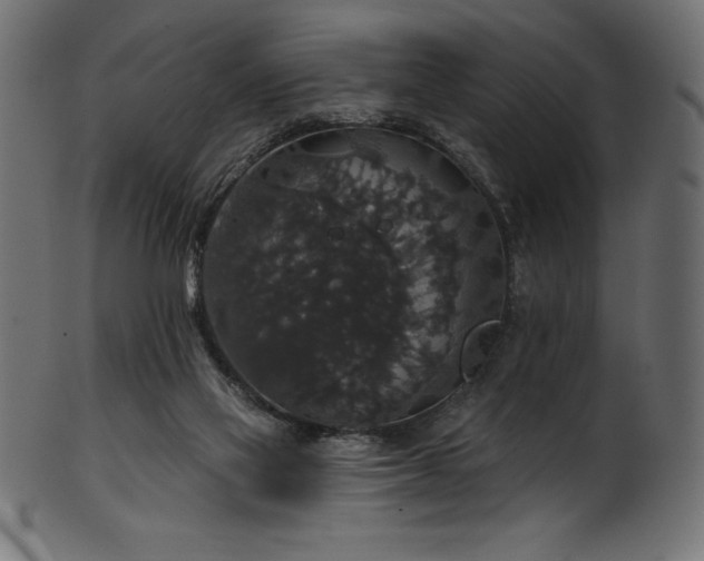 X0000102040069200807181522