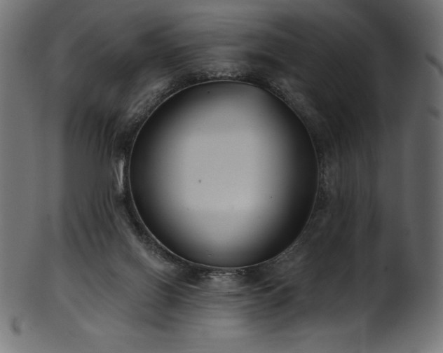 X0000102040070200807181522