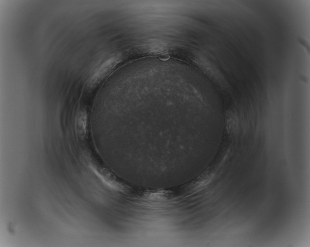 X0000102040072200807181522