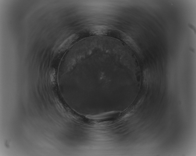 X0000102040073200807181522