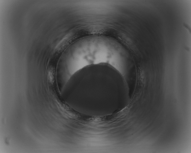 X0000102040074200807181522