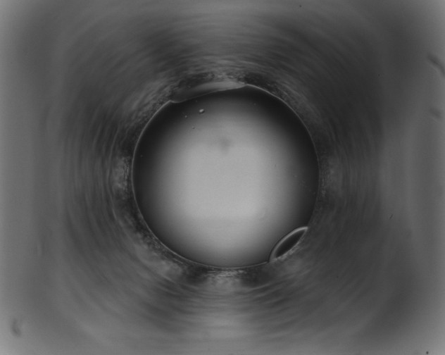 X0000102040078200807181522