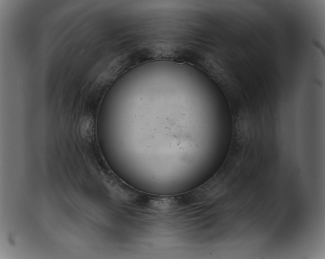 X0000102040079200807181522