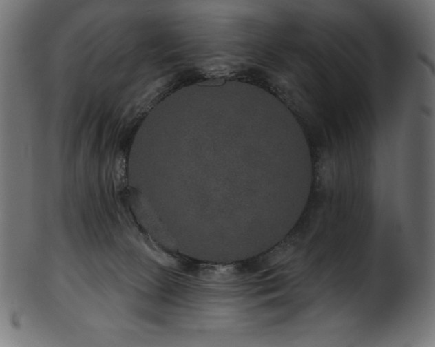 X0000102040081200807181522