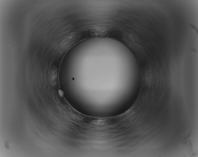 X0000102040082200807181522