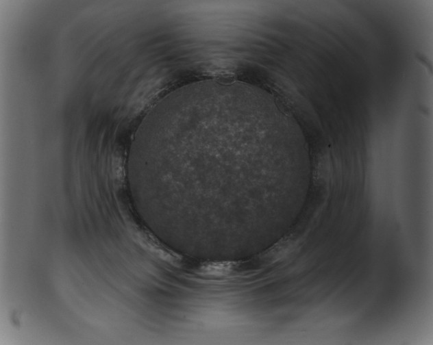 X0000102040084200807181522