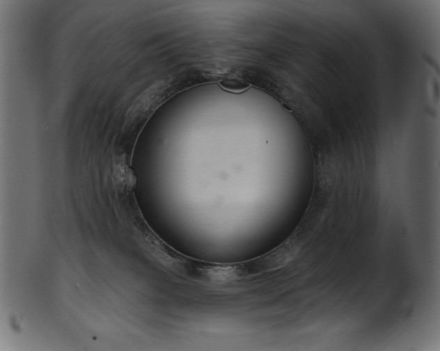 X0000102040085200807181522