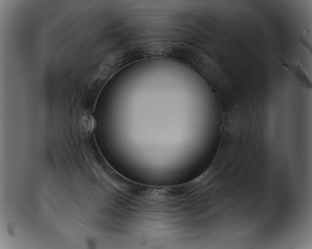 X0000102040086200807181522