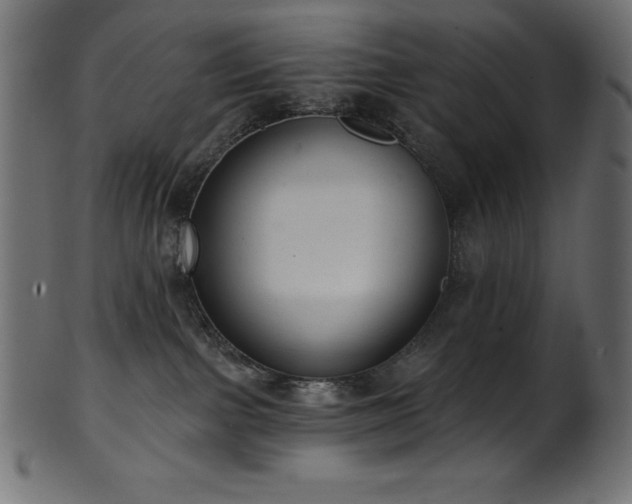 X0000102040091200807181522