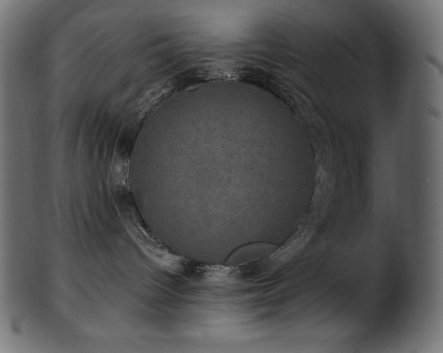 X0000102040096200807181522