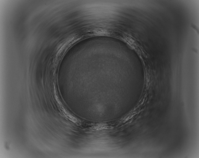 X0000102040097200807181521