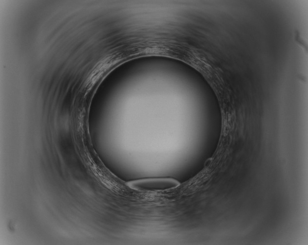 X0000102040098200807181521