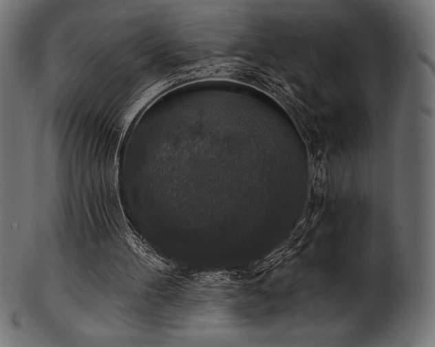 X0000102040100200807181521