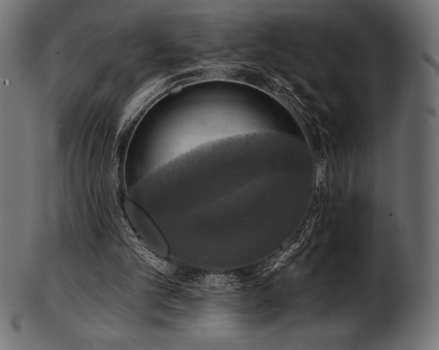 X0000102040101200807181521