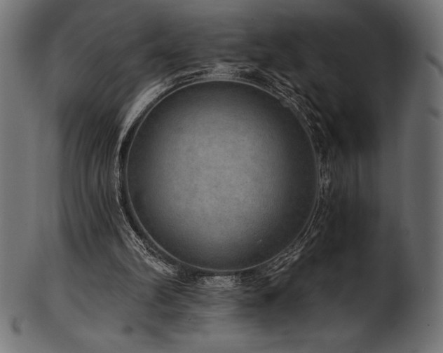 X0000102040102200807181521