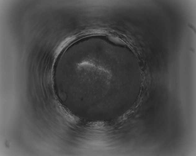 X0000102040104200807181521