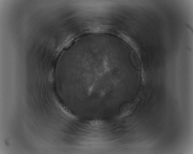 X0000102040105200807181521