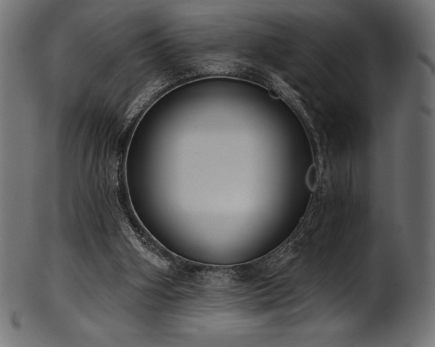 X0000102040106200807181521