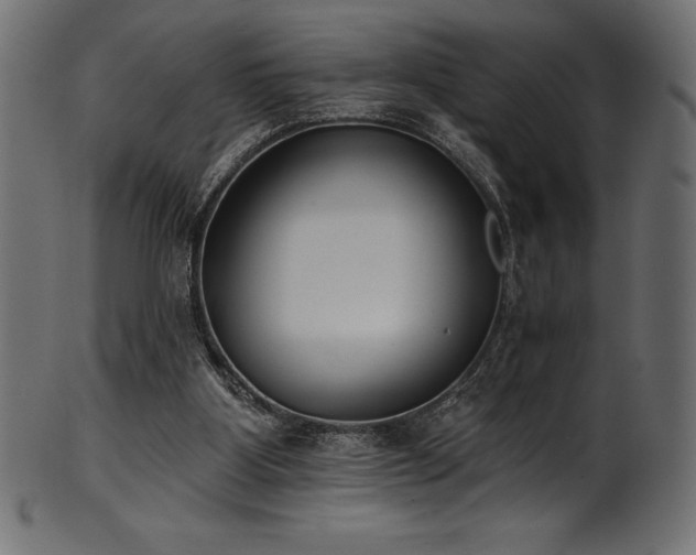 X0000102040107200807181521