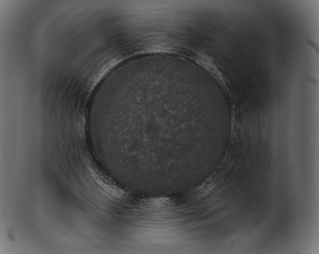 X0000102040108200807181521