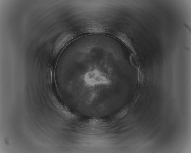 X0000102040109200807181521