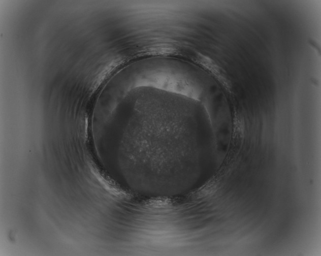 X0000102040110200807181521