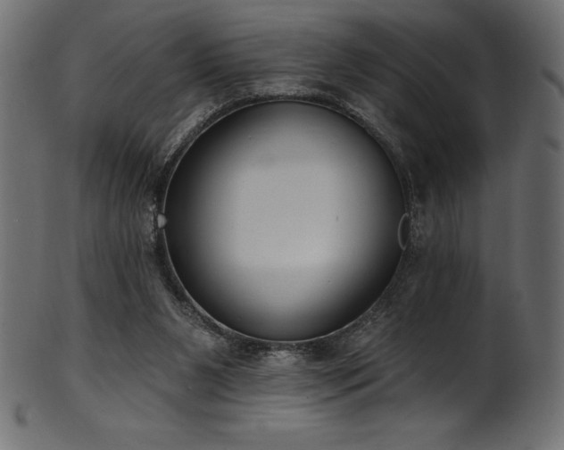 X0000102040111200807181521